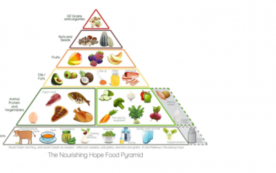Diet Pyramid in moderation